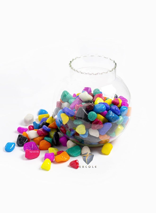 Ercole® Multicolour Pebbles Stone for Decoration Garden Plants Pots Home Table Decoration & Garden Outdoor Decoration (3Kg) - Image 5